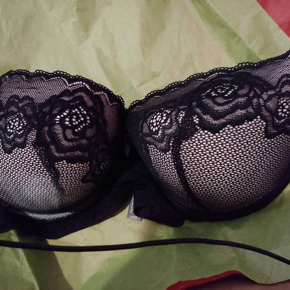 ❤Daisy Fuentes Lovely Floral Mesh Padded Bra NWOT - Picture 3 of 8